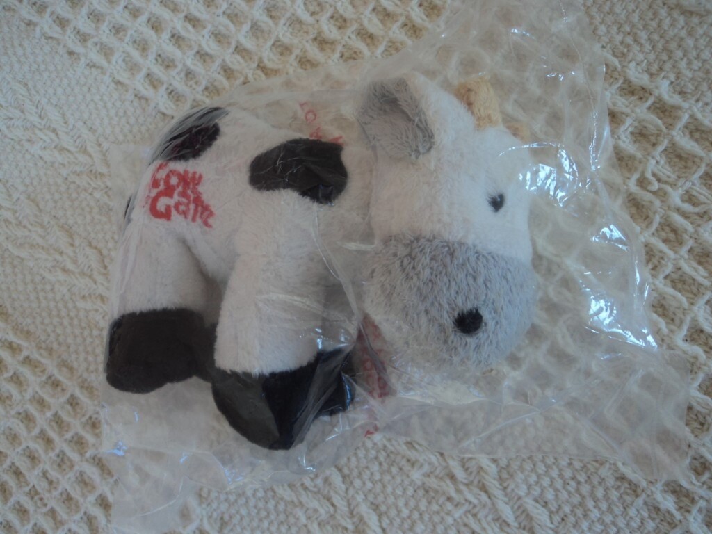 cow and gate cow teddy